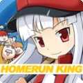 本垒打王(Homerun King)