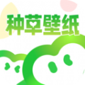 种草壁纸app官方版  v1.0.0