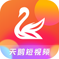 天鹅短视频下载安装最新版app v2.0.1