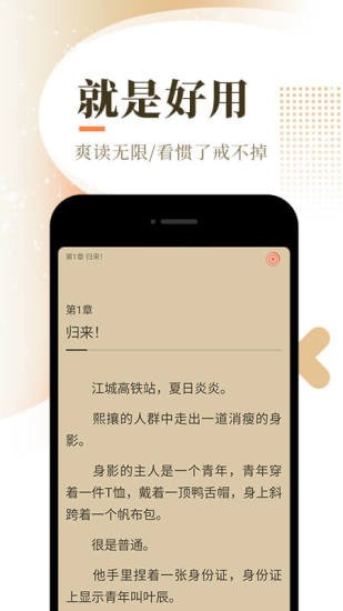 萌辣小说app